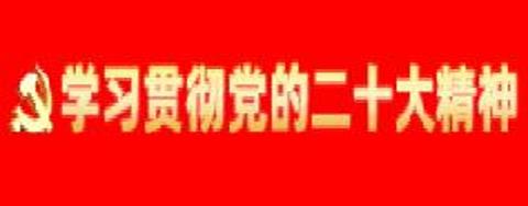 學(xué)習(xí)貫徹黨的二十大精神專(zhuān)題