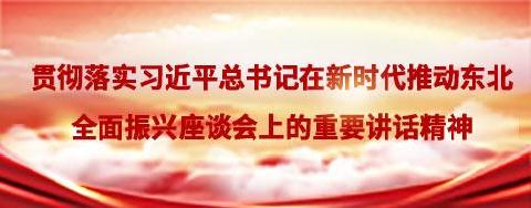 習(xí)近平總書(shū)記全面推動(dòng)?xùn)|北振興講話(huà)精神